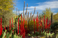 ChihuliMG_7406