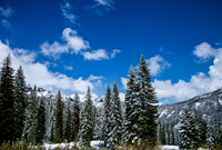 June Snow in Lassen Park_MG_9831