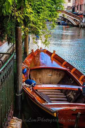 Venice Speedboat_MG_8486