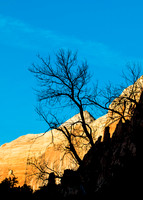 Zion Silouette_MG_0746