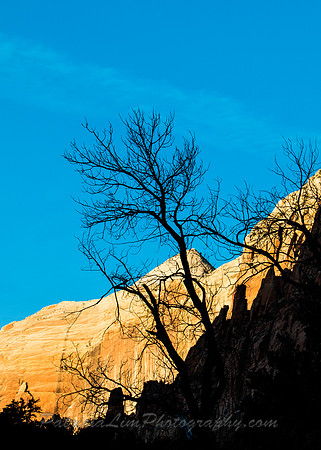 Zion Silouette_MG_0746