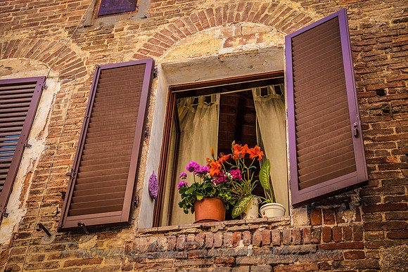 Flowers in the Window_MG_1806
