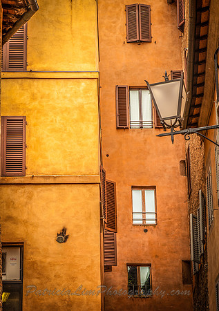 Siena _MG_3791