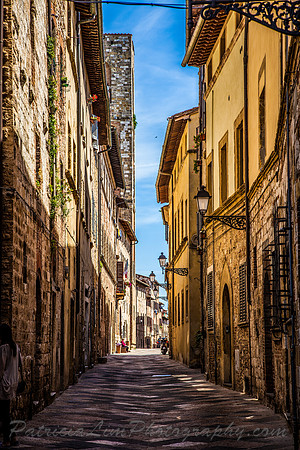 Collie_de valleMG_1687
