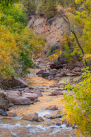 Zion NP Virgin River Reflections2_MG_6250