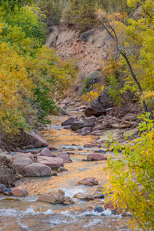 Zion NP Virgin River Reflections2_MG_6250