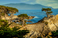 Lone Cyprus, Carmel_MG_1152