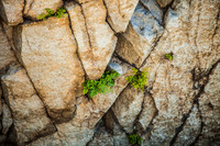 _MG_9644