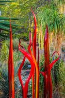 Chihuli_MG_7586