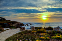 Carmel 17 mile Drive2 MG_1223