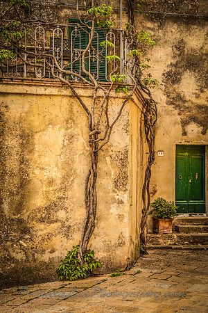 Montecchiello_MG_3054