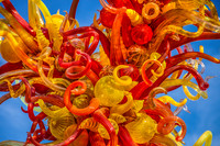 Chihuli_MG_7397