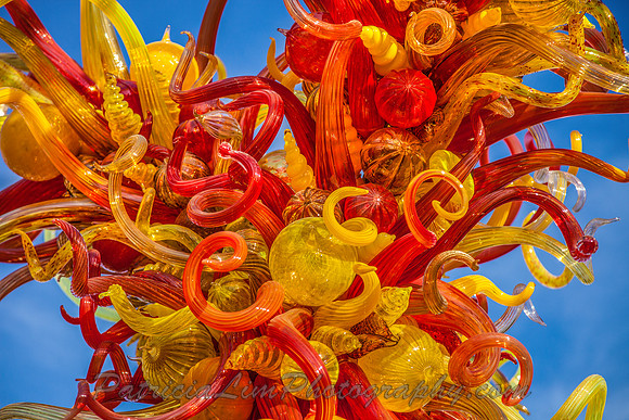 Chihuli_MG_7397