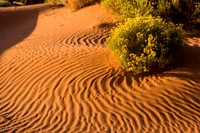Sand Waves at Monument Valley