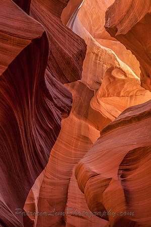 Antelope Canyon_MG_7025