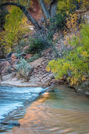 Zion NP, Virgin River Reflections_MG_0766
