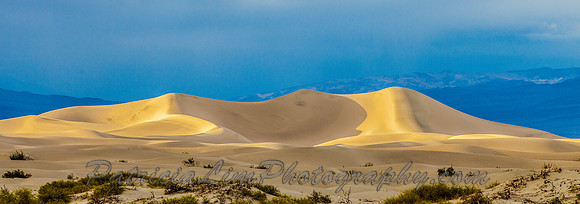 Death Valley, Dunes_MG_3489